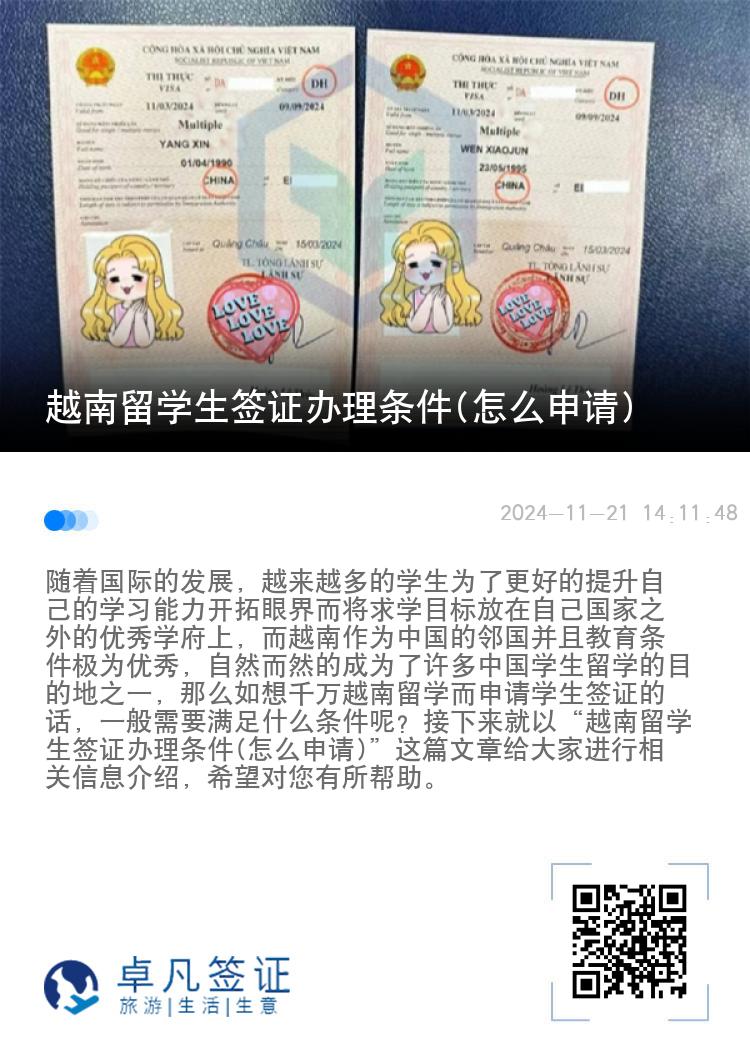 越南留学生签证办理条件(怎么申请)